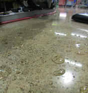 In-House Staff Cleaning Polished Concrete with Autoscrubber